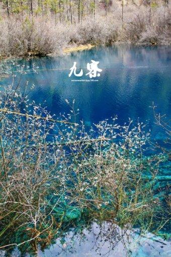 去年全省金融对经济支持持续增强 2023年末全省金融机构各项贷款余额27490亿元 同比增长8.3%
