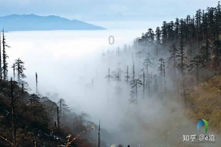 德古拉伯爵的住所