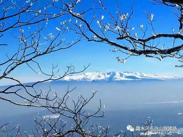 深度学习星球-探索什么是勇敢的孩子?知识的独特平台