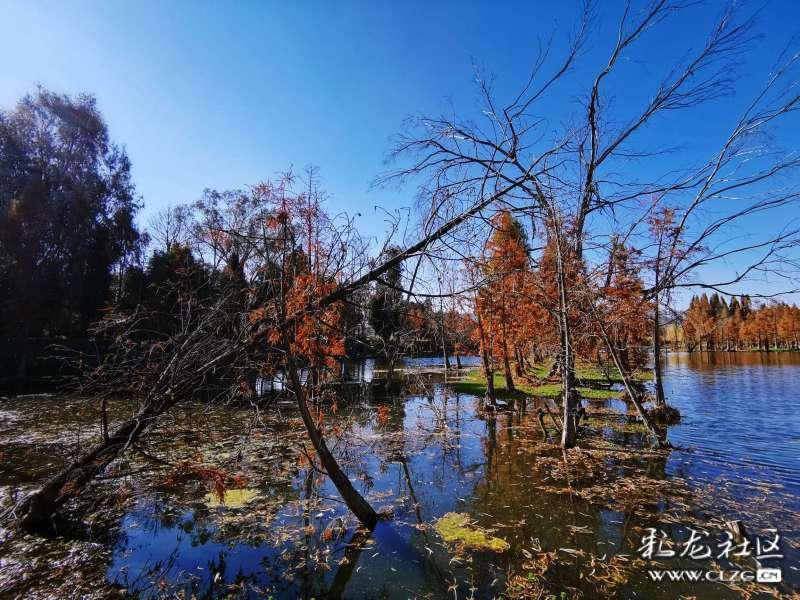 程帅澎单节投进6个三分,助浙江稠州金租男篮客场战胜天津