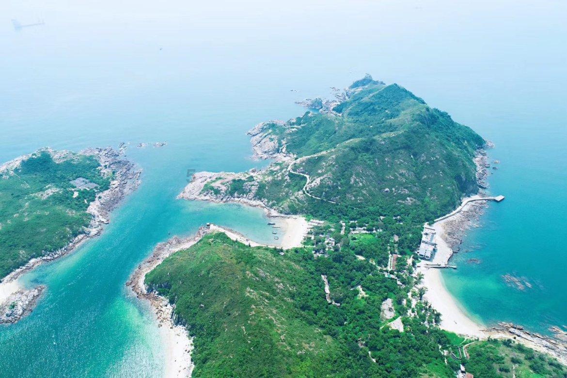 瑞德的冒险之旅中文版