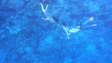 通常男生见到一个女生就假装咳嗽,是代表好感还是厌恶?- 专业有问必答平台