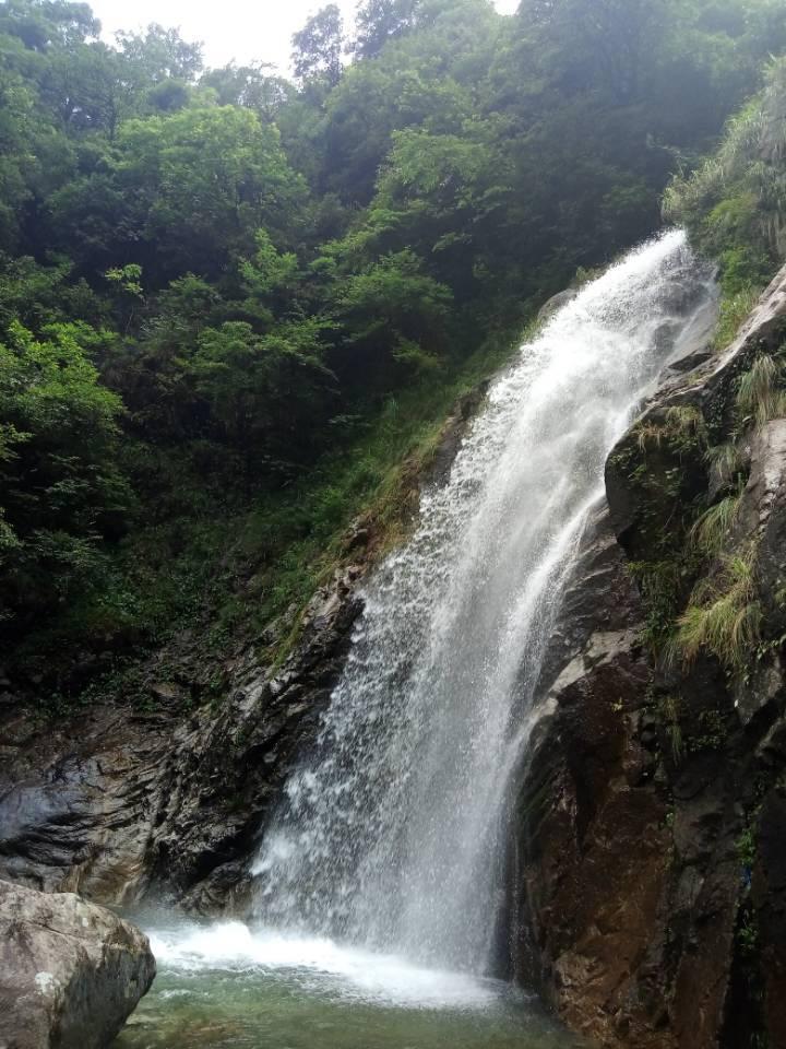 拯救红松鼠