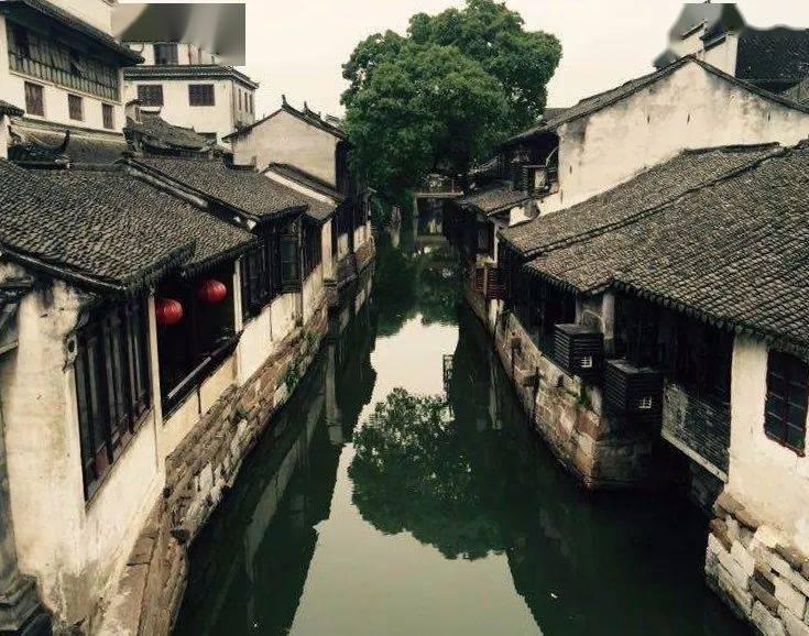 优化服务助力高铁建设,助企纾困彰显公路担当