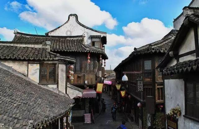 宝马EK改色膜云杉绿,浑身透着独特的魅力和品味
