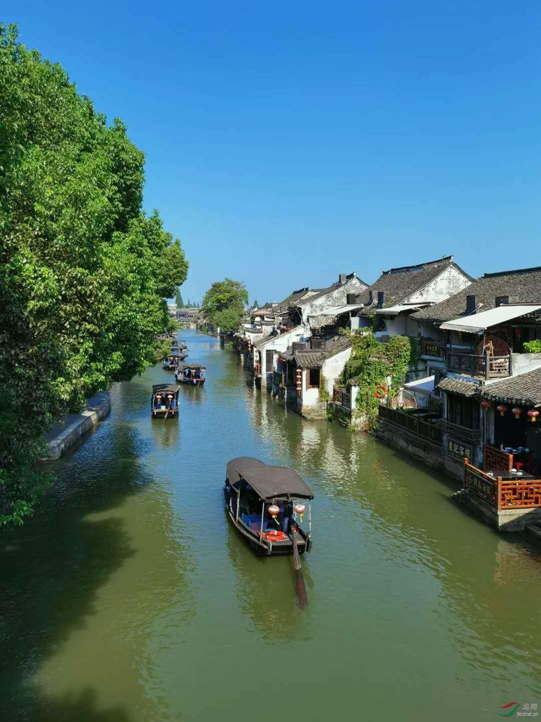 Mysql如何查询出生日期在1898年后的人